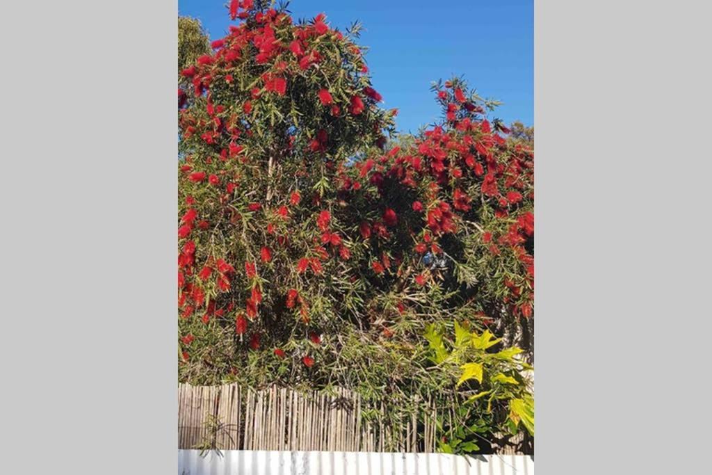 Leeward 'Tranquil Beachfront' Kingscote Exterior photo